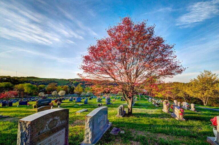 Cemetery1
