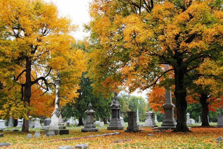 Cemetery4